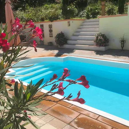 Mit Pool - Im Seusslitzer Grund *