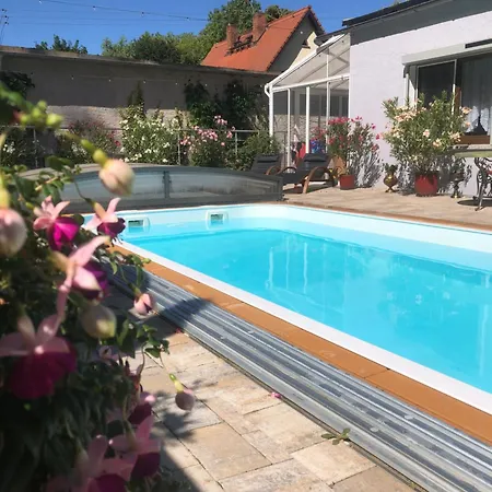 Mit Pool - Im Seusslitzer Grund Diesbar-Seusslitz