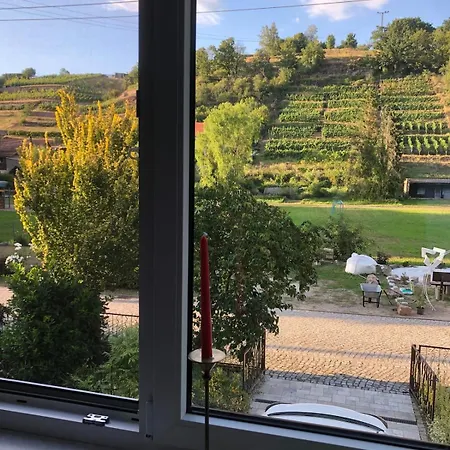 Mit Pool - Im Seusslitzer Grund * Diesbar-Seusslitz