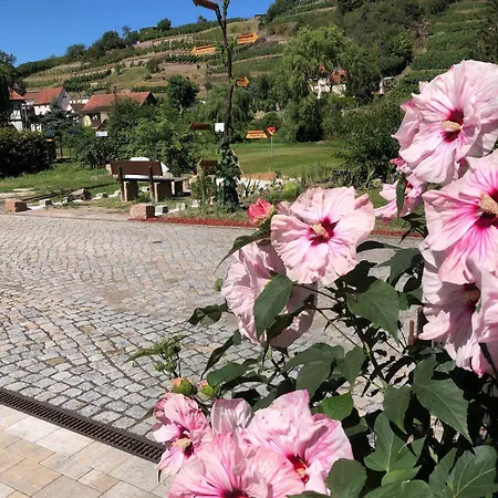 Mit Pool - Im Seusslitzer Grund Holiday home