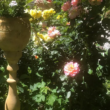 펜션 Mit Pool Im Seusslitzer Grund *