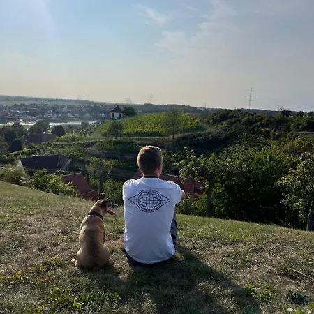 펜션 Mit Pool Im Seusslitzer Grund *