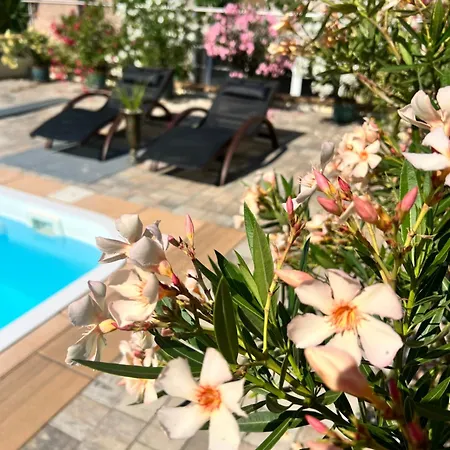 Holiday home Mit Pool - Im Seusslitzer Grund