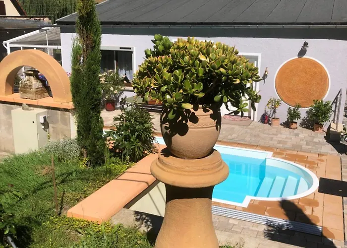 Ferienhaus Mit Pool - Pension Im Seusslitzer Grund Дом отдыха *