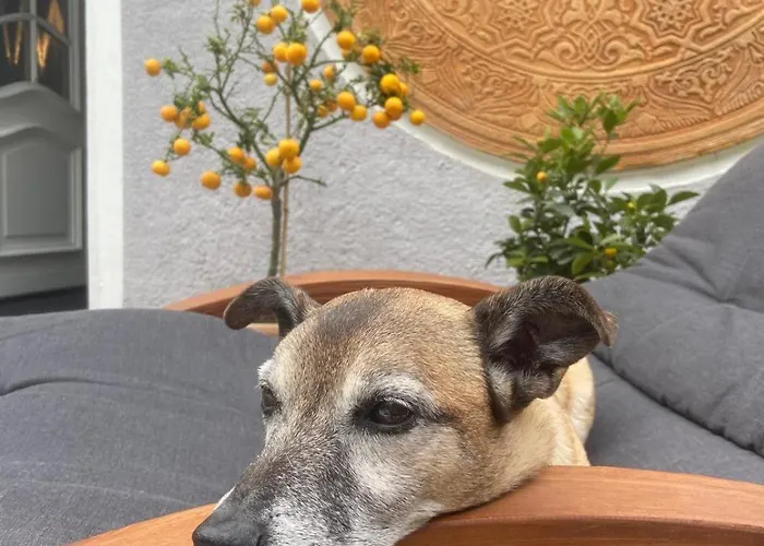 Mit Pool Im Seusslitzer Grund Diesbar-Seusslitz