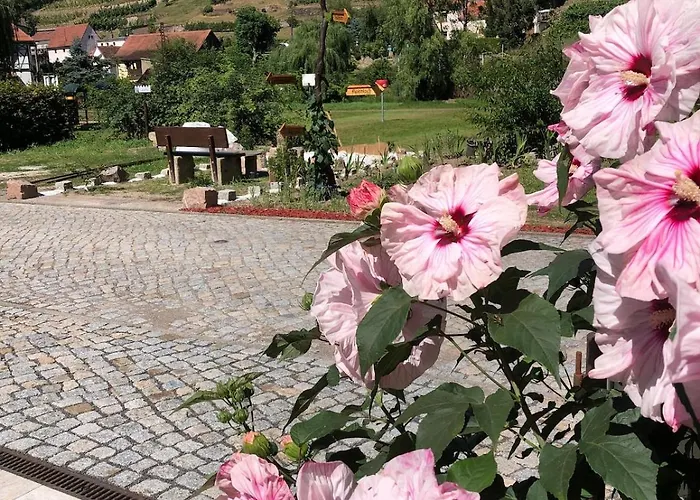 Ferienhaus Mit Pool - Pension Im Seusslitzer Grund Дом отдыха