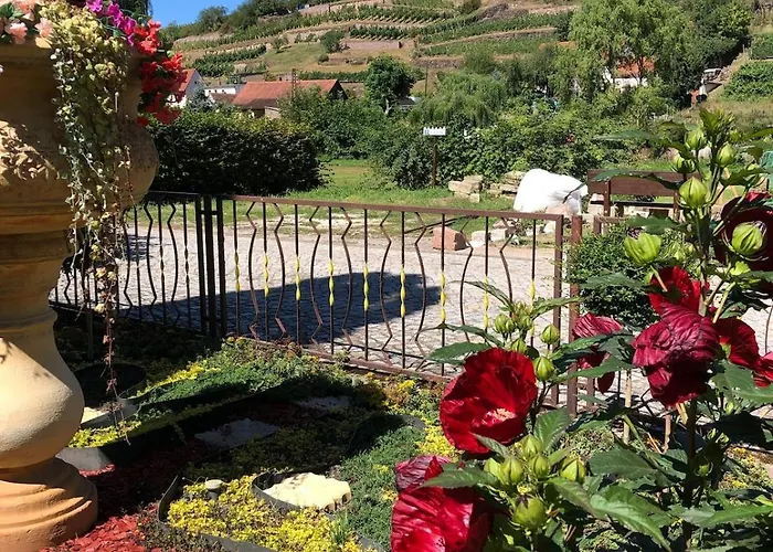 Mit Pool Im Seusslitzer Grund *