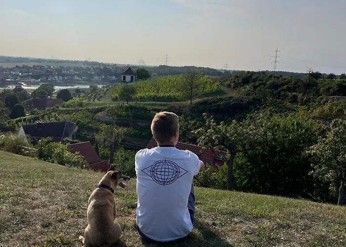 Casa vacanze Mit Pool Im Seusslitzer Grund *